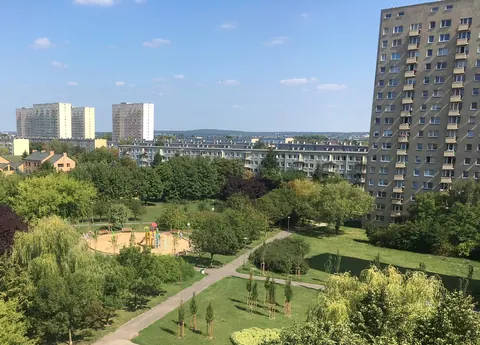 Widok z okna mieszkania w bloku na zielone osiedle